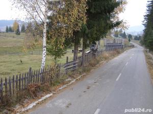 5077 mp teren intravilan Sarisoru Mare   Saru Dornei 