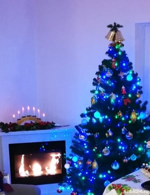 vand cu pret redus Semineu perfect functional (Biosemineu) deosebit.