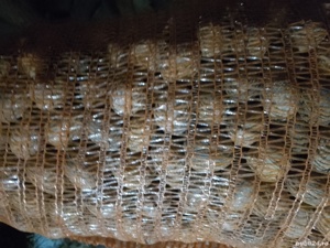 Nuci de anul acesta in coajă  - imagine 3