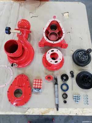 Pompa de debit si presiune pentru irigatii Landini CU 3 D - imagine 3