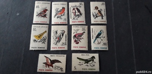 Timbre Romania-Pasari,nestampilate,10 poze. - imagine 10
