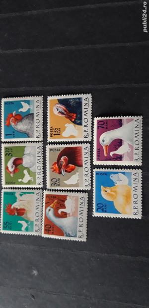 Timbre Romania-Pasari,nestampilate,10 poze. - imagine 5