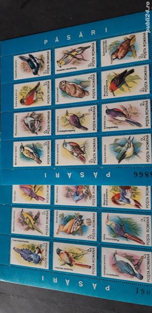 Timbre Romania-Pasari,nestampilate,10 poze. - imagine 7