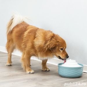 capac ceramic castron fantana trixie ptr pet, caini, pisici sau aplica suport lampa veioza - imagine 5