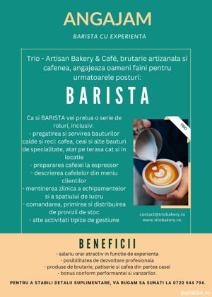 Barista cu experienta (Trio - Artisan Bakery & Cafe) - imagine 5