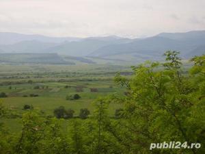 Teren DN1 Sibiu Aeroport 12000 mp - imagine 2