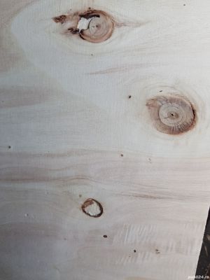 Placaj plop 2500x1250x12 mm