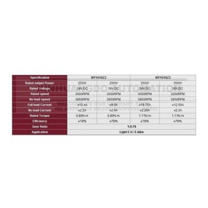 Motor electric pentru bicicleta cu perii, 24V - 250W - 1016Z - imagine 5