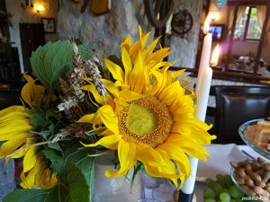 Vand centru turistic - Pensiune(cazare,restaurant,terasa) si Centru SPA( cazare,piscina, sali sport) - imagine 10