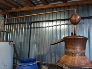 Țuică de tesvovina - imagine 2