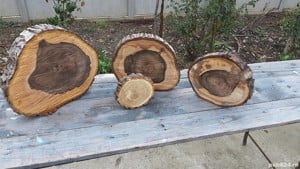 Rondele din diferite esențe de lemn, diametrul variabil