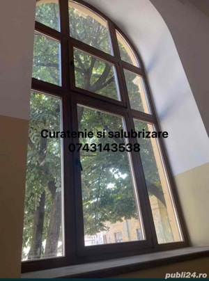 Curatenie si dezinsectie - imagine 3