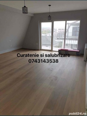 Curatenie si dezinsectie - imagine 4