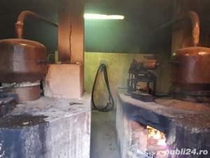 Țuică (palincă) tradițională de calitate, diverse sortimente  - imagine 3