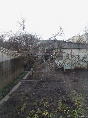 Țuica de casă de 52 grade .