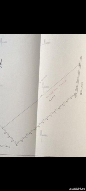 Teren Agricol in Peciu Nou de vânzare - imagine 4