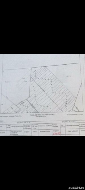 Teren Agricol in Peciu Nou de vânzare - imagine 6