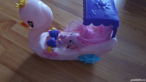 Barcuta lebada - imagine 2