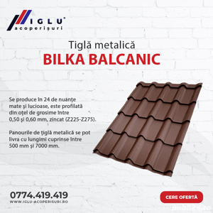 IGLU Acoperisuri - distributie si montaj tigla metalica - imagine 3