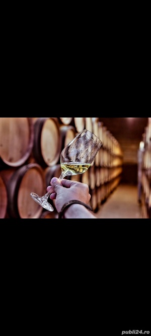 Vin de Vita Nobila - Tamaioasa Romaneasca