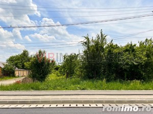 Balotesti - Caciulati, teren intravilan, suprafata 2.596 mp