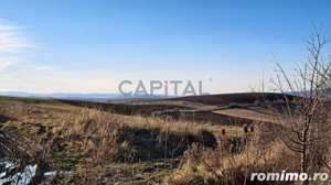 Teren extravilan 4 300 mp, expunere sudica - imagine 3