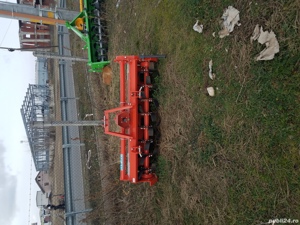 Freze de pamant - imagine 4