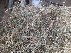 Vand lucerna si baloti de fan mici - imagine 4