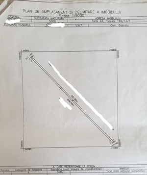 Teren de vanzare Dascalu - imagine 2