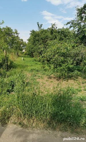 De vânzare 14,19 ari vie (intravilan) la Salonta - imagine 3
