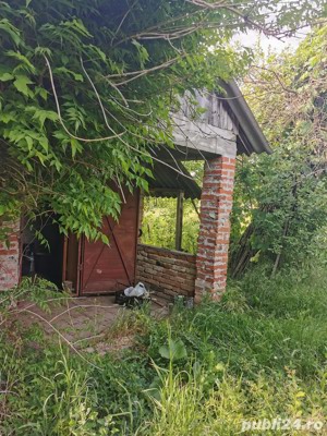 De vânzare 14,19 ari vie (intravilan) la Salonta - imagine 4