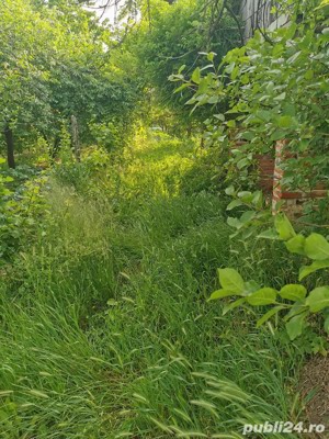 De vânzare 14,19 ari vie (intravilan) la Salonta - imagine 5