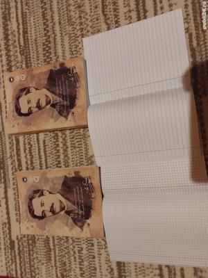 Lot de 10 Caiete dictando si aritmetica