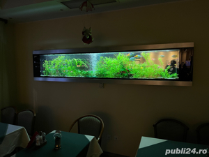 Acvariu in perete - imagine 4