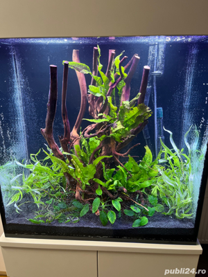 Acvariu in perete - imagine 5