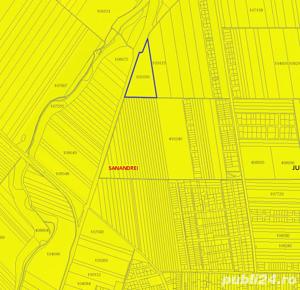 Vand 5ha teren in extravilanul comunei Sanandrei - imagine 2