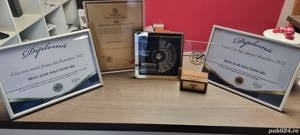 Gard metalic jaluzea | Suruburi ascunse | Valcea | Model 2026 |  - imagine 3