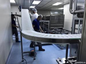Conveioare, benzi transportoare,structuri metalice,utilaje din inox - imagine 4