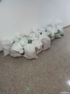 Transport moloz Bucuresti