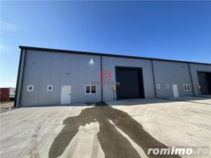 Inchiriere depozit hala spatiu industrial Pantelimon - Centura - imagine 5