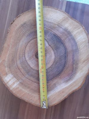 Seminte paulownia hibrid - imagine 4