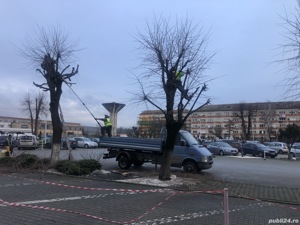 Toaletare copacii -Defisari+tocare crengi = servicii peisagistice 