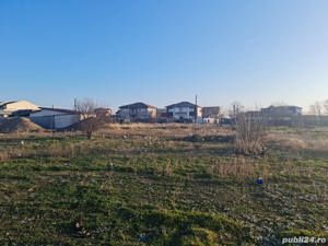 Anunturi vanzari terenuri in Palazu Mare