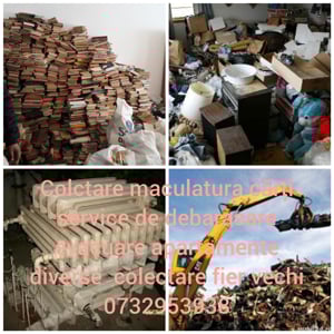 colectare fier vechi 