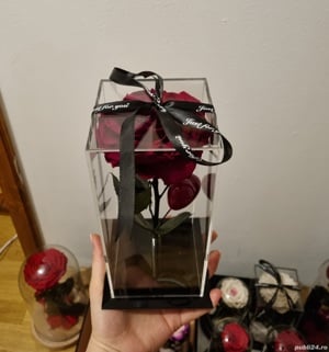 Trandafir criogenat ! 