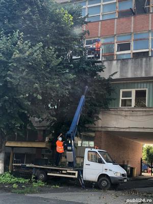 Defisari x Toaletare copaci     x  Tocator crengi - imagine 5