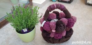 Poseta Kontessa, mov