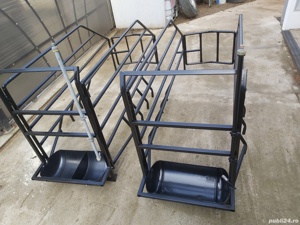 Boxe pentru fătare scroafe noi - imagine 6