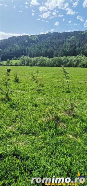 Teren cu proiect casa, in vecinatatea padurii Bradet, Brasov - imagine 3