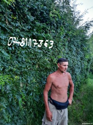 GLADITA,Protectie suprafete mari de teren impotriva hotilor,oilor, mistretilor, ursilor